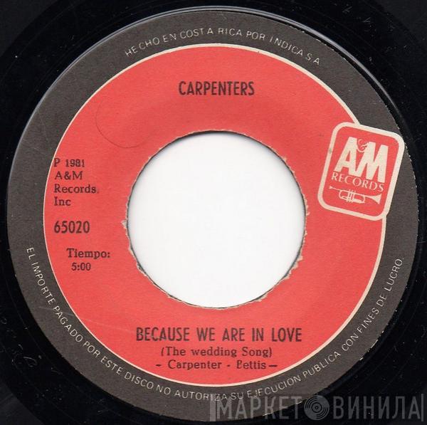  Carpenters  - Touch Me When We're Dancing
