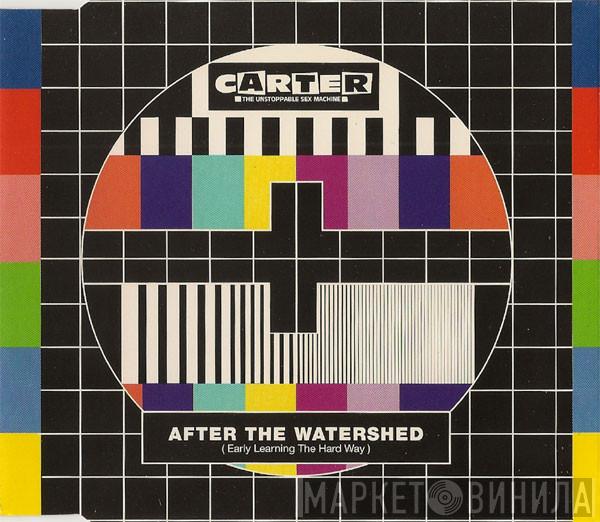  Carter The Unstoppable Sex Machine  - After The Watershed (Early Learning The Hard Way)