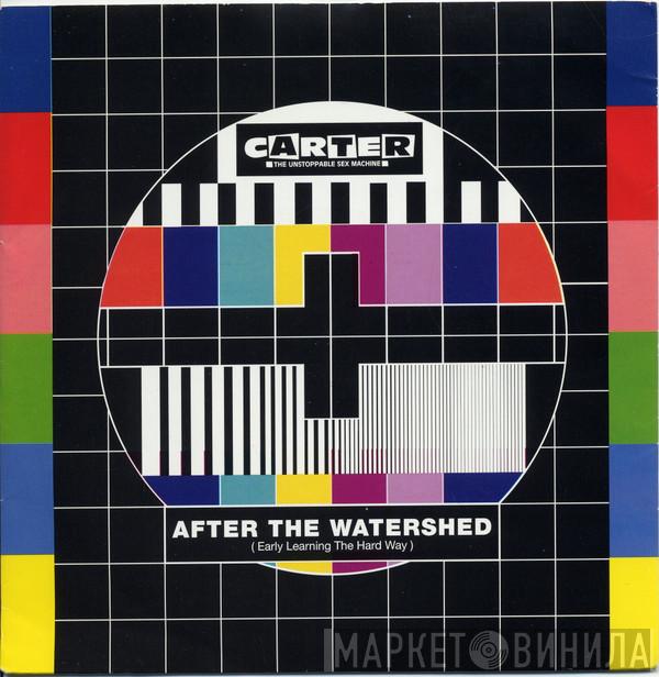 Carter The Unstoppable Sex Machine - After The Watershed