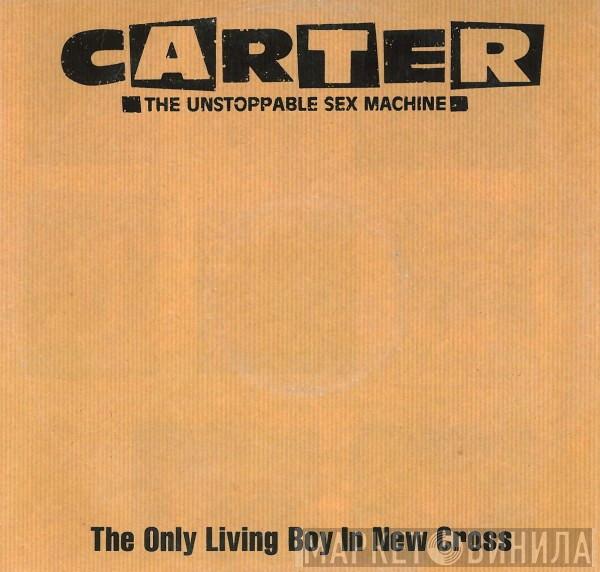 Carter The Unstoppable Sex Machine - The Only Living Boy In New Cross