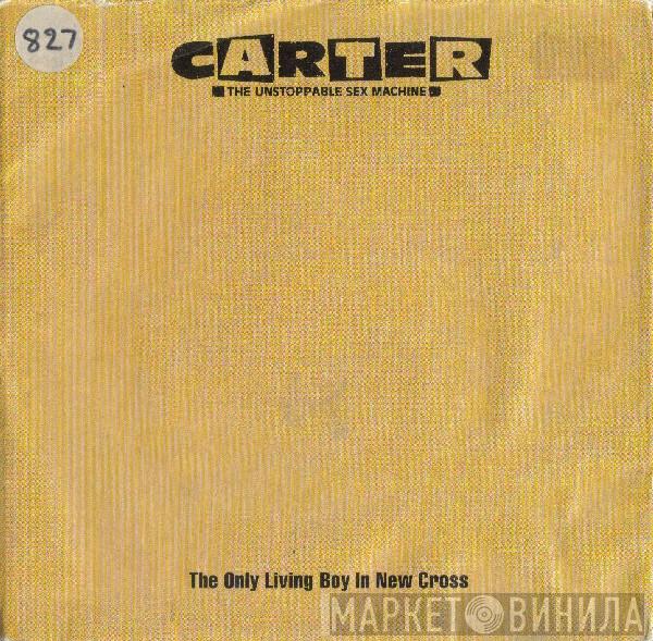 Carter The Unstoppable Sex Machine - The Only Living Boy In New Cross