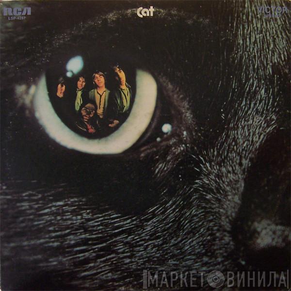 Cat  - Cat