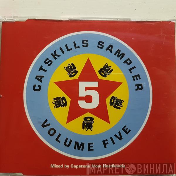  - Catskills Sampler Volume 5
