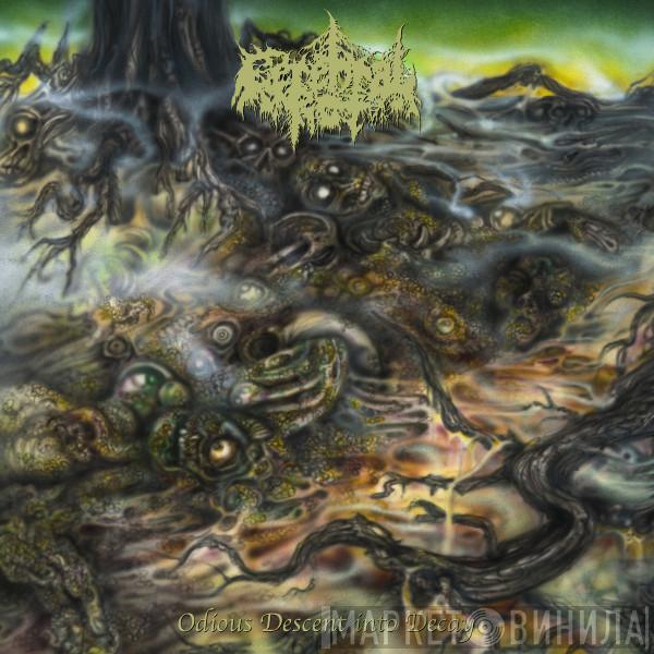  Cerebral Rot  - Odious Descent Into Decay