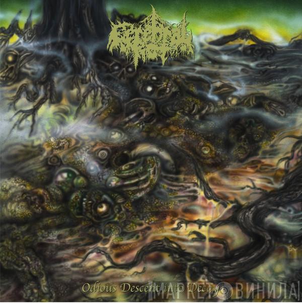  Cerebral Rot  - Odious Descent Into Decay