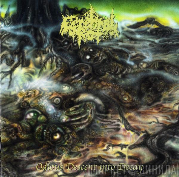  Cerebral Rot  - Odious Descent Into Decay
