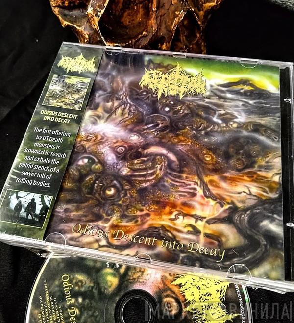  Cerebral Rot  - Odious Descent Into Decay