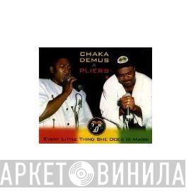 Chaka Demus & Pliers - Every Little Thing She Does Is Magic