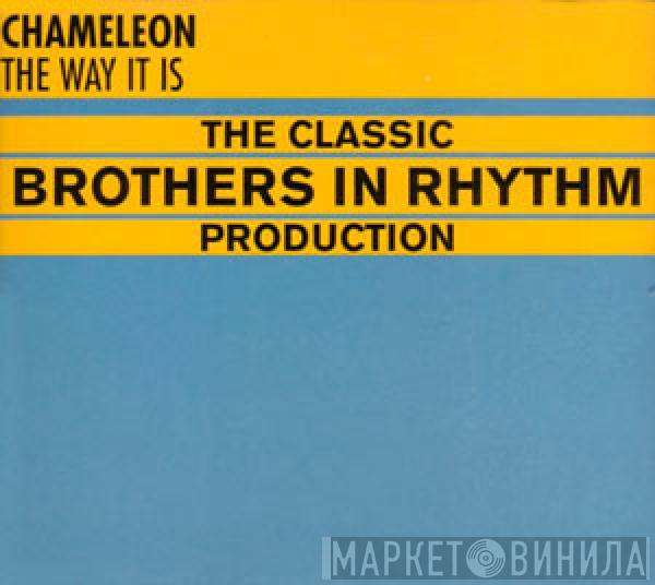  Chameleon   - The Way It Is