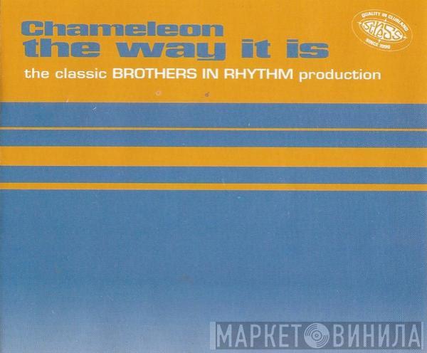  Chameleon   - The Way It Is