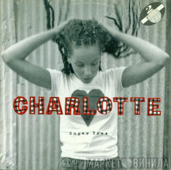  Charlotte  - Sugar Tree