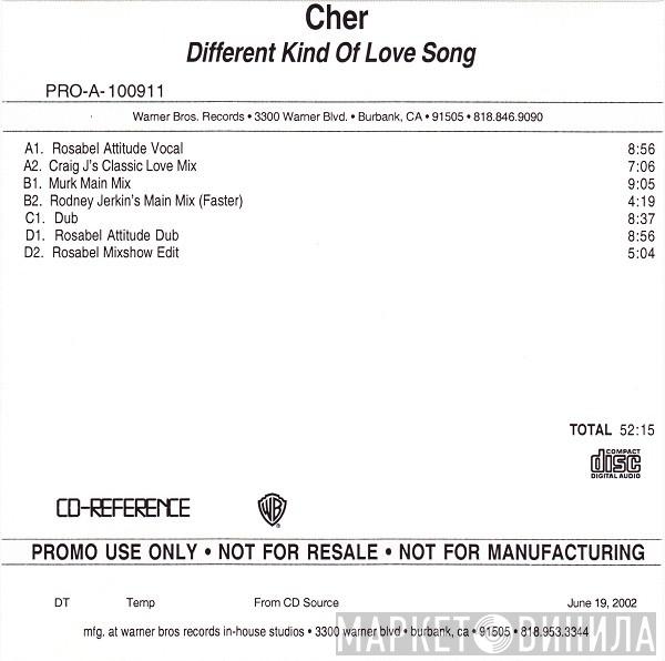  Cher  - Different Kind Of Love Song