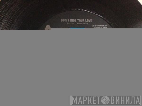  Cher  - Don't Hide Your Love