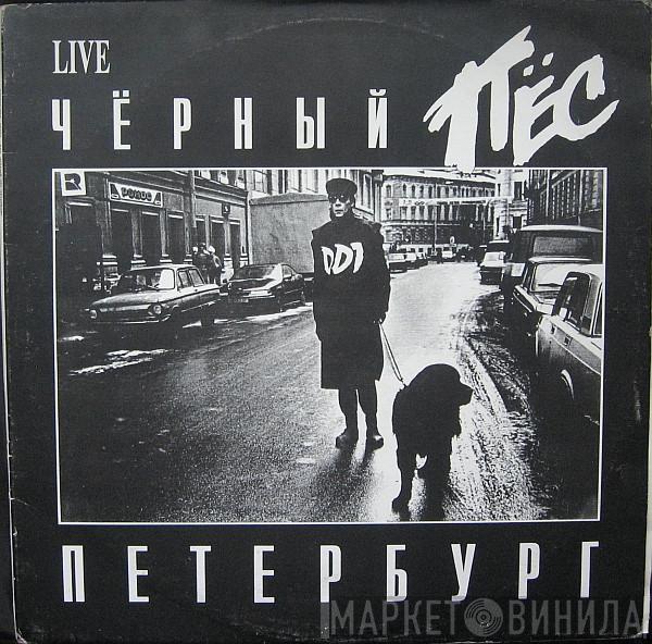  ДДТ  - Чёрный Пёс Петербург