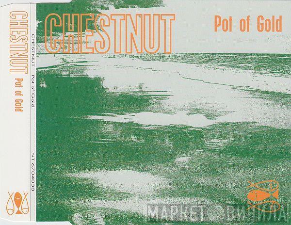  Chestnut  - Pot Of Gold