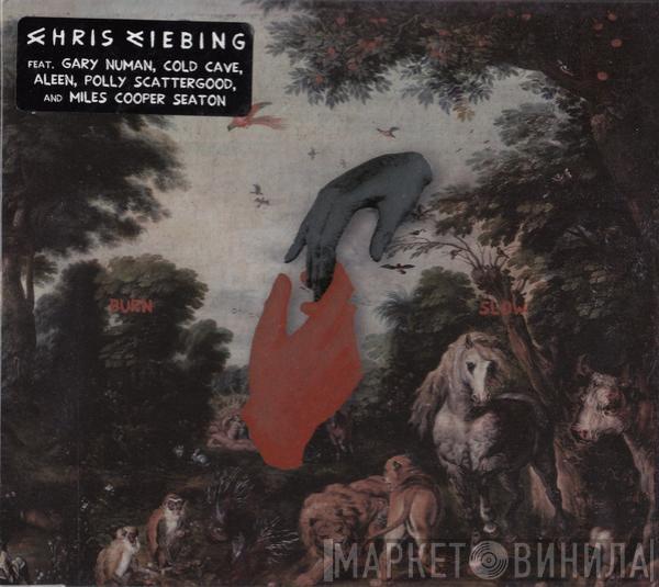 Chris Liebing - Burn Slow