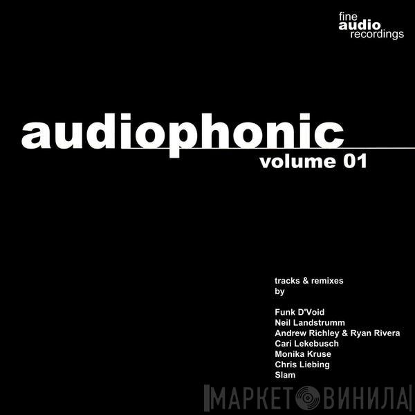 Christian Weber  - Audiophonic Volume 01