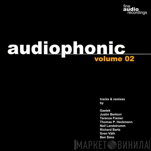 Christian Weber  - Audiophonic Volume 02