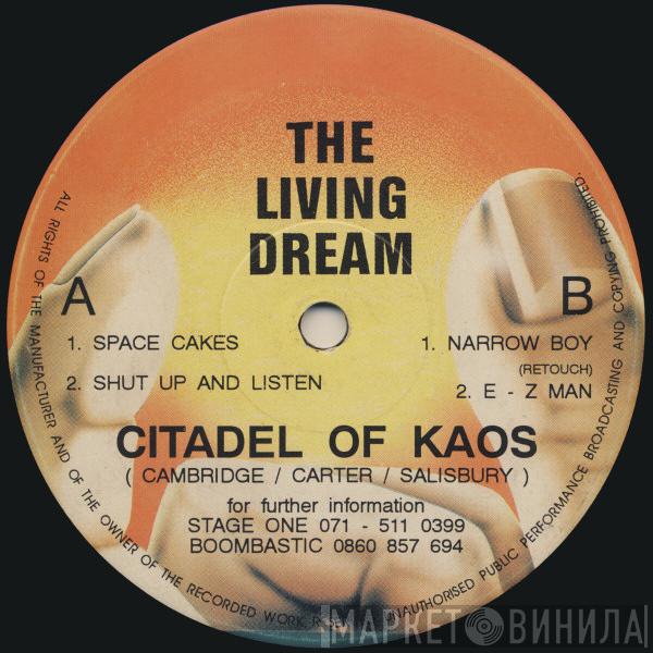 Citadel Of Kaos - Space Cakes