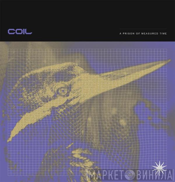  Coil  - A Prison Of Measured Time