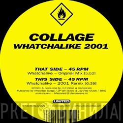 Collage - Whatchalike 2001