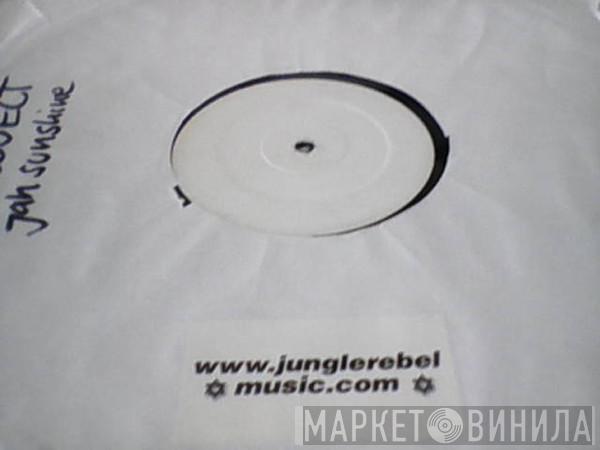 Conquering Lion - Jah Sunshine