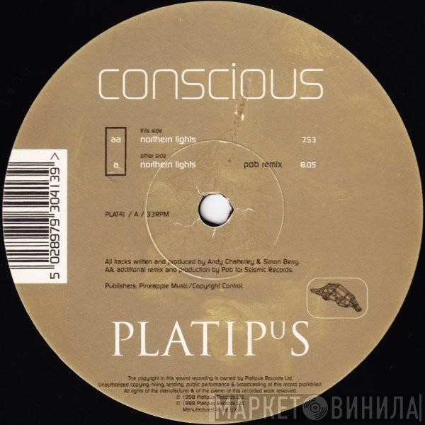  Conscious  - Northern Lights