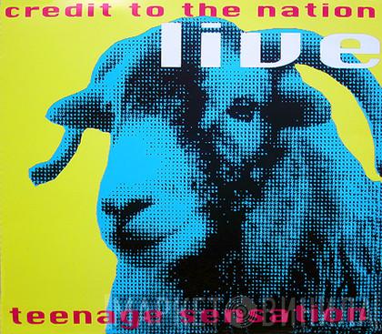 Credit To The Nation - Teenage Sensation (Live)