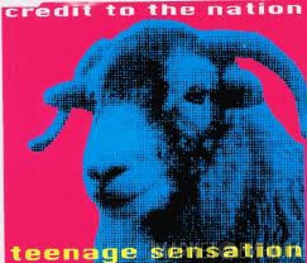  Credit To The Nation  - Teenage Sensation