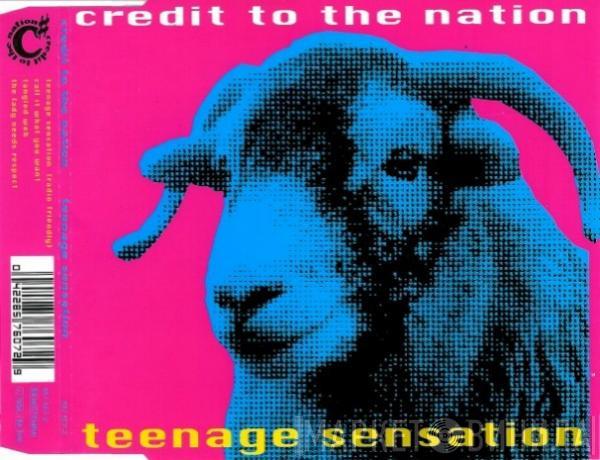 Credit To The Nation - Teenage Sensation