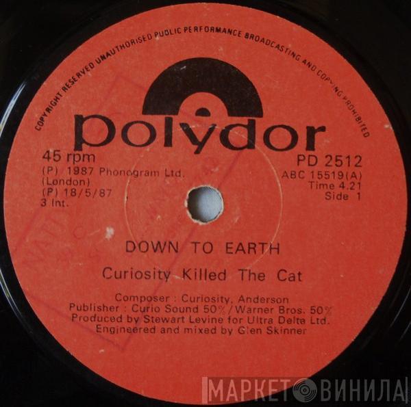  Curiosity Killed The Cat  - Down To Earth
