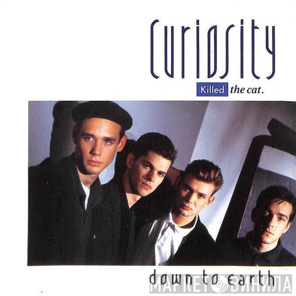 Curiosity Killed The Cat  - Down To Earth