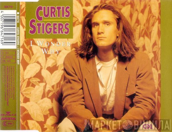Curtis Stigers - I Wonder Why