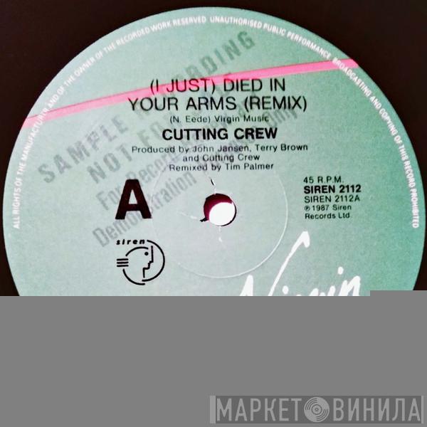  Cutting Crew  - (I Just) Died In Your Arms