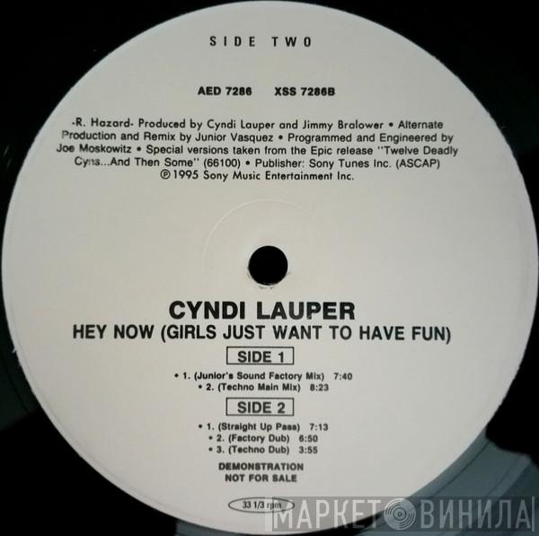  Cyndi Lauper  - Hey Now (Girls Just Want To Have Fun)