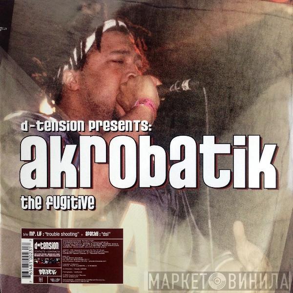 D-Tension , Akrobatik, Apathy, Mr. Lif - The Fugitive / D.S.L. / Trouble Shooting