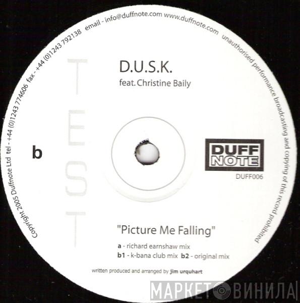 D.U.S.K., Christine Baily - Picture Me Falling
