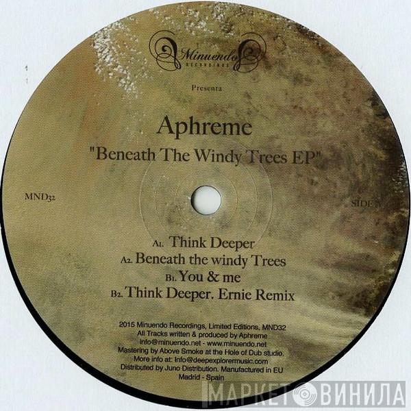 DJ Aphreme - Beneath The Windy Trees EP