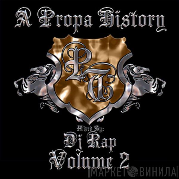  DJ Rap  - A Propa History Volume 2