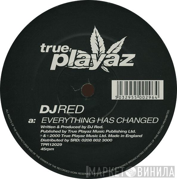 DJ Red - Everything Has Changed / Paradise