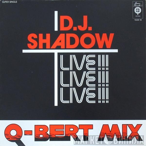 DJ Shadow  - Q-Bert Mix-Live!!
