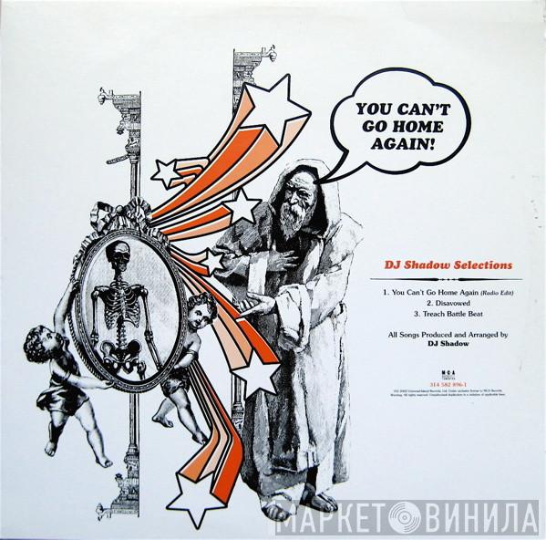  DJ Shadow  - You Can't Go Home Again!