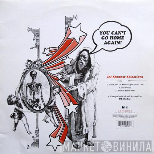 DJ Shadow - You Can't Go Home Again!