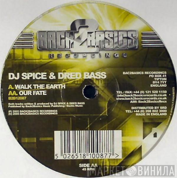 DJ Spice, Dred Bass - Walk The Earth / Our Fate