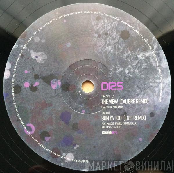 DRS - The View (Calibre Remix)
