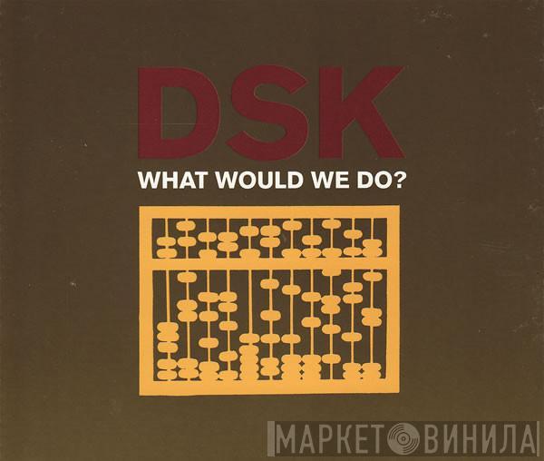  DSK  - What Would We Do?