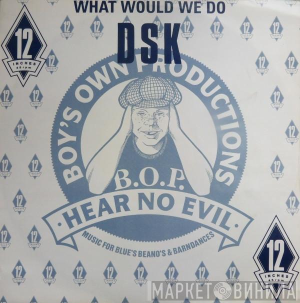 DSK - What Would We Do
