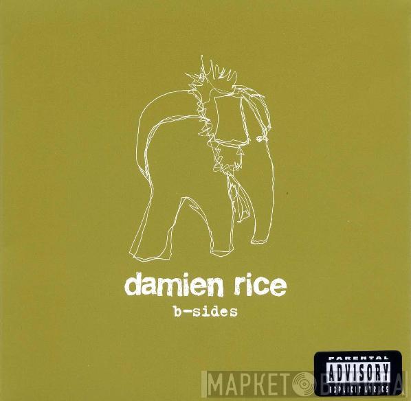  Damien Rice  - B-Sides