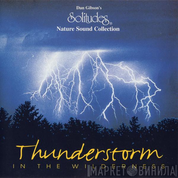 Dan Gibson - Thunderstorm In The Wilderness
