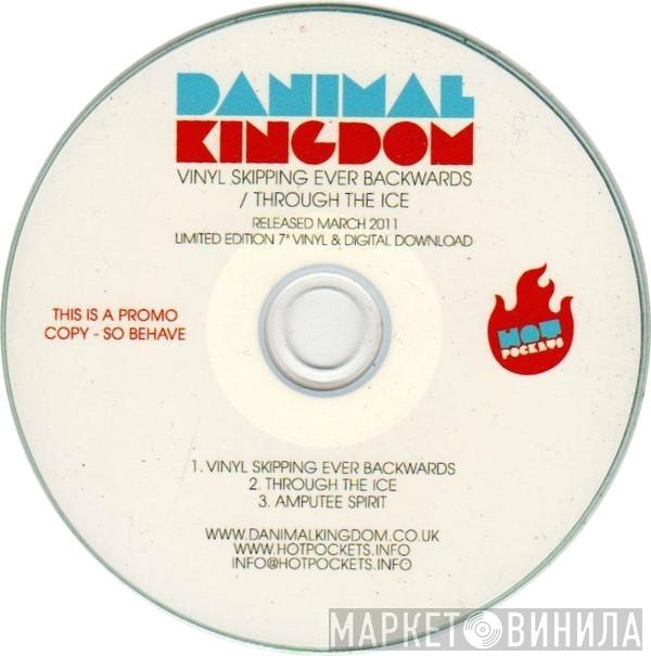 Danimal Kingdom - Vinyl Skipping Ever Backwards / Through The Ice